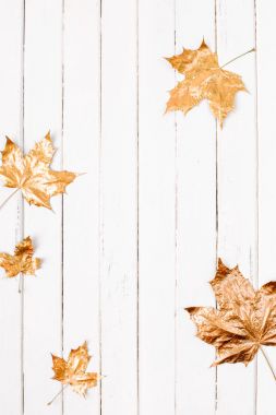 Authumn arka plan yaprakları ile