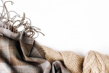 Beyaz arka plan üzerinde izole damalı sıcak ekose