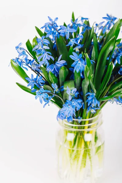 Κοντινό Πλάνο Της Ανθοδέσμης Των Λουλουδιών Άνοιξη Μπλε Άσπρο Φόντο — Φωτογραφία Αρχείου