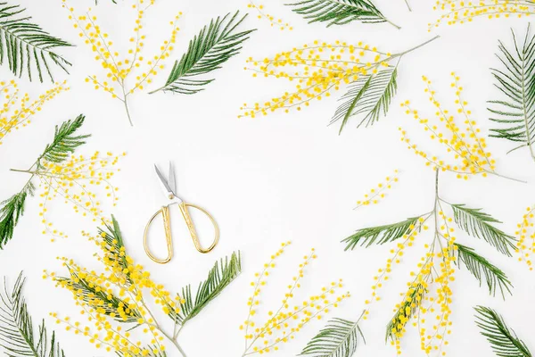 Frame Van Mimosa Bloemen Witte Achtergrond Plat Lag Top Uitzicht — Stockfoto