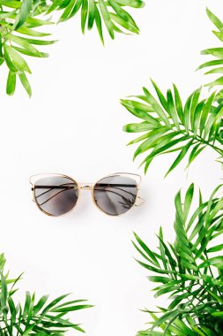 Tropikal yaprak ve beyaz arka plan üzerinde izole güneş gözlüğü