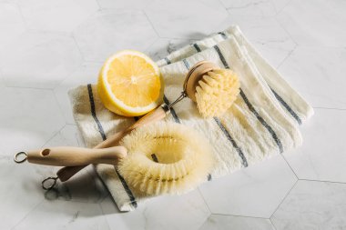 Bambu çanak fırçalar ile doğal temizlik ürünleri limon. Çevre dostu. Sıfır atık kavramı. Plastik ücretsiz.