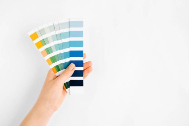  Female hand holding color swatches. Color trend palette. Flat lay, top view.