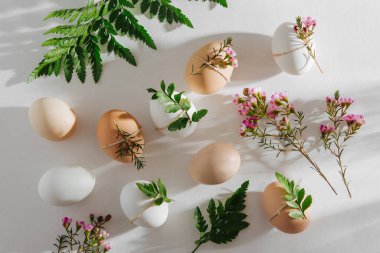 Doğal renkli yumurta sabah sunlights çiçeklerle süslenmiş. Pastel renklerde şık en az kompozisyonlar. Paskalya kavramı.