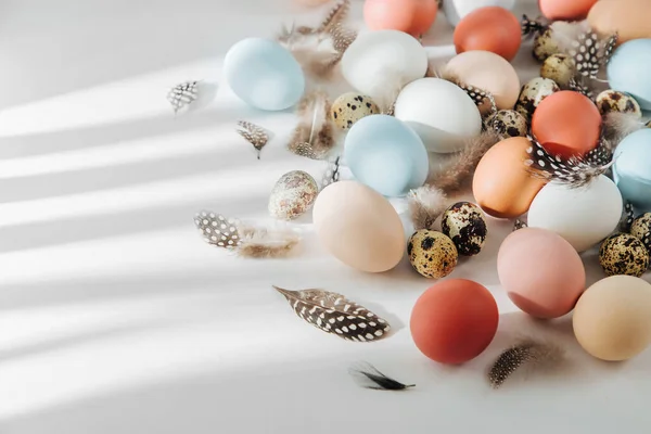 Natural Color Marrón Codorniz Blanco Huevos Con Luz Solar Composiciones — Foto de Stock