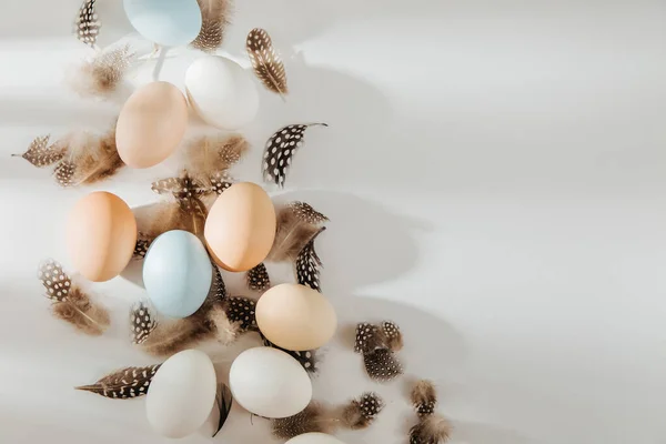 Natural Colored Brown Perail White Eggs Sunlights Произведения Пастельных Тонах — стоковое фото