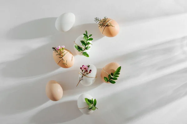 Telur Berwarna Alam Dihiasi Dengan Bunga Pagi Hari Cahaya Matahari Stok Foto
