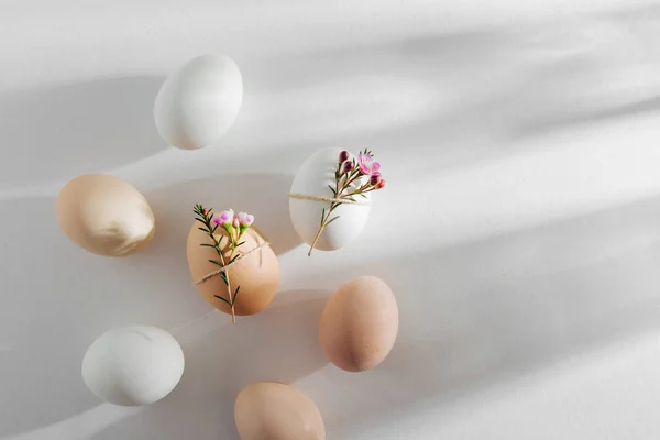 Telur Berwarna Alam Dihiasi Dengan Bunga Pagi Hari Cahaya Matahari Stok Gambar Bebas Royalti