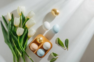 White tulips and Eggs in wooden egg-box with sunlight on white background. Stylish spring Compositions. Easter concept. clipart