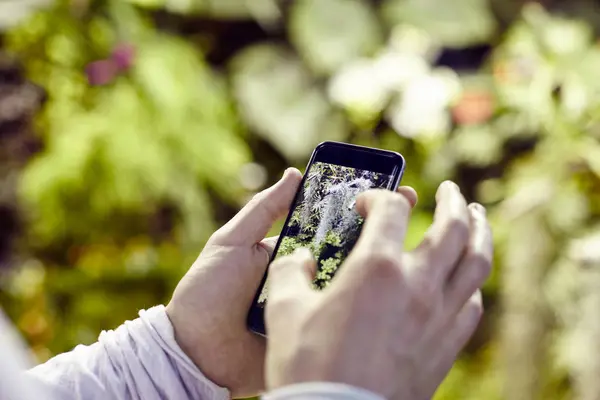 Closeup view man's hands using a mobile phone, taking photo of trees flowers and scaling on screen