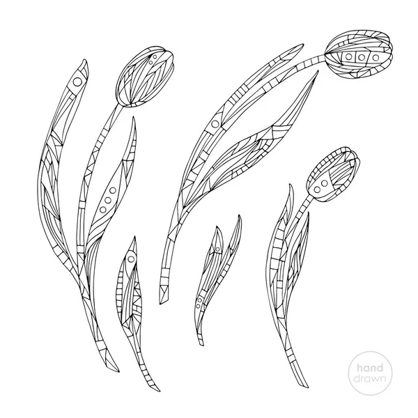 Coloriage des tulipes. Illustration vectorielle de fleurs abstraites dessinées à la main. Fond de la nature dans un style moderne . — Image vectorielle