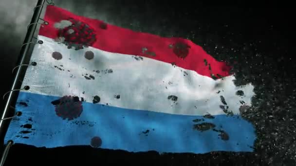 卢森堡国旗被撕破 上面标有Covid 19或Corona病毒 — 图库视频影像