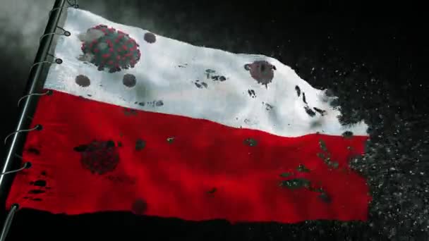 Σημαία Της Πολωνίας Σκίζεται Και Επισημαίνεται Τον Covid Corona — Αρχείο Βίντεο