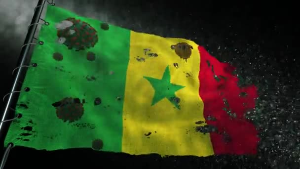 セネガルの旗は引き裂かれ Covid 19またはコロナのウイルスでマークされています — ストック動画