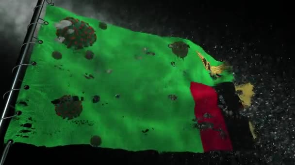 赞比亚国旗被撕破 上面标有Covid 19或Corona病毒 — 图库视频影像