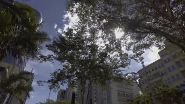 Sao Paulo Bresil Juillet 2017 Les Gens Marchent Sur Avenue — Video