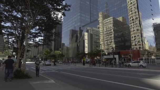 Sao Paulo Brazil July 2017 People Walk Paulo Avenue Sunny — Stock Video