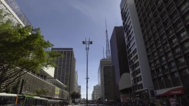 Sao Paulo Brasil Julho 2017 Pessoas Caminham Avenida Paulo Dia — Vídeo de Stock
