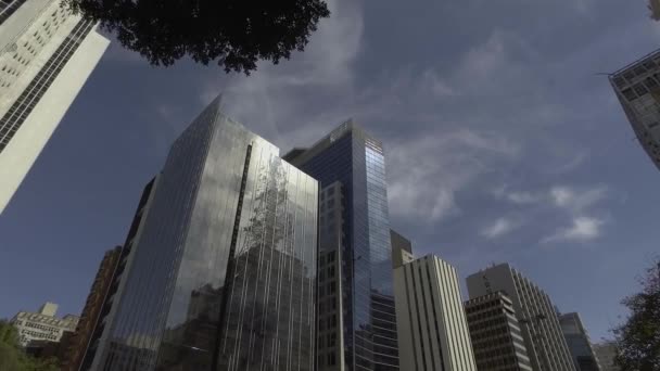 Sao Paulo Brasilien Juli 2017 Menschen Gehen Einem Sonnigen Tag — Stockvideo