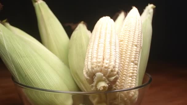 Corn Cob — Stock Video