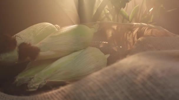 Traditional Brazilian Sweet Called Curau Made Corn — Stock Video