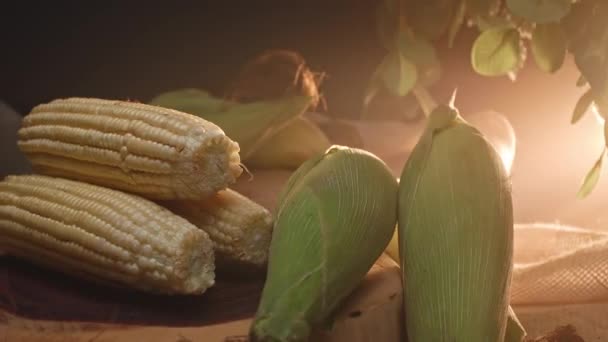 三个玉米堆在一块木板上 — 图库视频影像