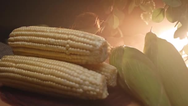 Three Corns Stacked Top Wooden Board — Stock Video