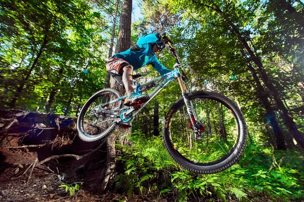 Прыгать и летать на горном велосипеде в лесу — стоковое фото