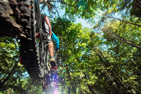 Ugrás és repülni egy mountain bike. Versenyző fellépés mountain bike sport. Motoros lovaglás erdőben. Hűvös atléta kerékpáros kerékpárt. MTB kerékpár. — Stock Fotó