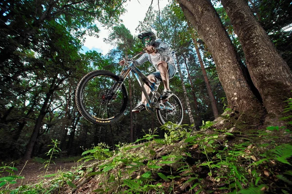 Moskau, Russland - 21. August 2017: Springen und fliegen auf einem Mountainbike. Fahrer im Einsatz beim Mountainbike-Sport. Radfahren im Wald. coole Sportler Radler auf einem Fahrrad. mtb Radfahren. — Stockfoto