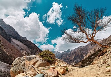 Himalaya dağ manzarası