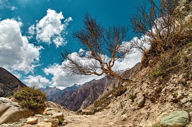 Himalaya dağ manzarası