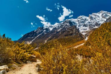 Himalaya dağ manzarası