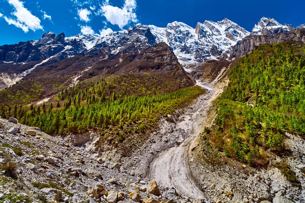 Himalaya dağ manzarası