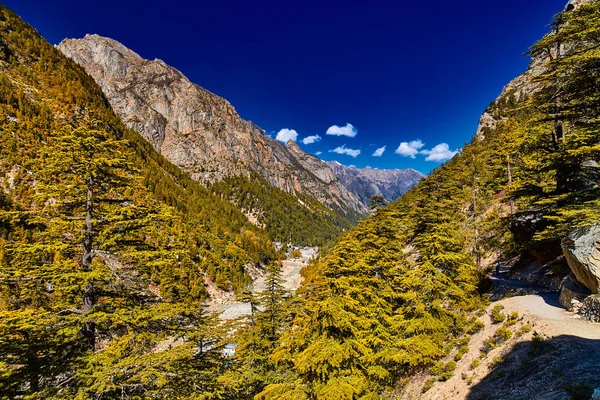 Himalaya dağ manzarası