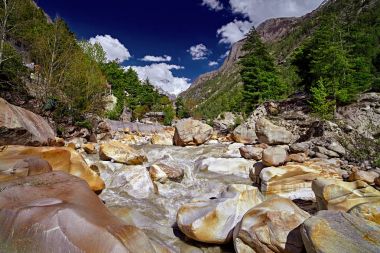 Rocky river Vadisi ve yeşil orman
