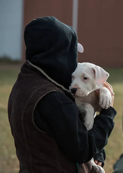 Человек держит щенка с головой на плечах — стоковое фото