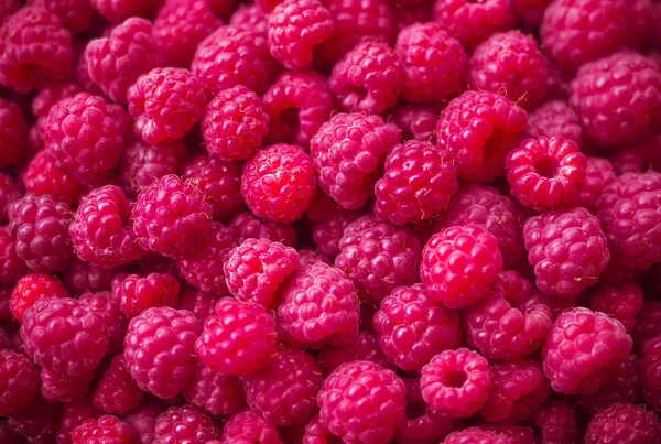 Ahududu izole koyu kırmızı, makro yakın çekim çekim yakın mesafeden dağınık