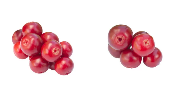 Birçok taze olgun dal kızılcık veya beyaz izole yaprakları ile cowberries