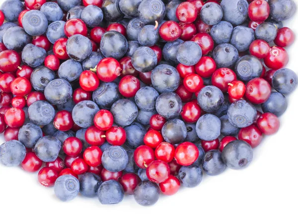 Blueberries Cranberries Cowberries Lingonberries White Background — Stockfoto