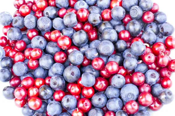 Blueberries Cranberries Cowberries Lingonberries White Background — Stockfoto