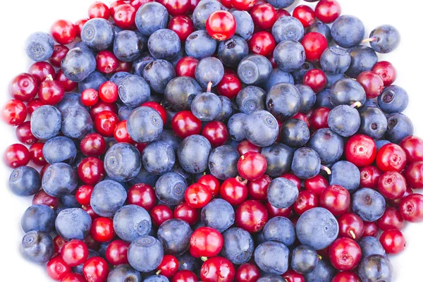 Blueberries Cranberries Cowberries Lingonberries White Background — Stockfoto