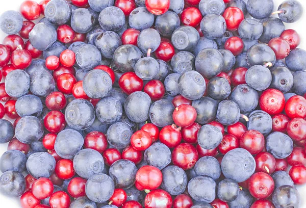 Blueberries Cranberries Cowberries Lingonberries White Background — Stockfoto