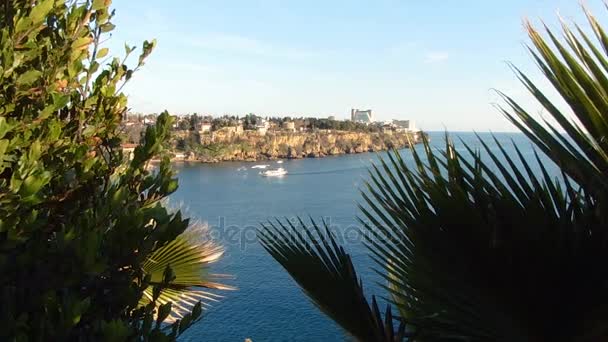 Muhteşem deniz manzarası. Kaleiçi, Antalya, Türkiye. Ağaçların dalları görüntüle. Güzel manzara — Stok video