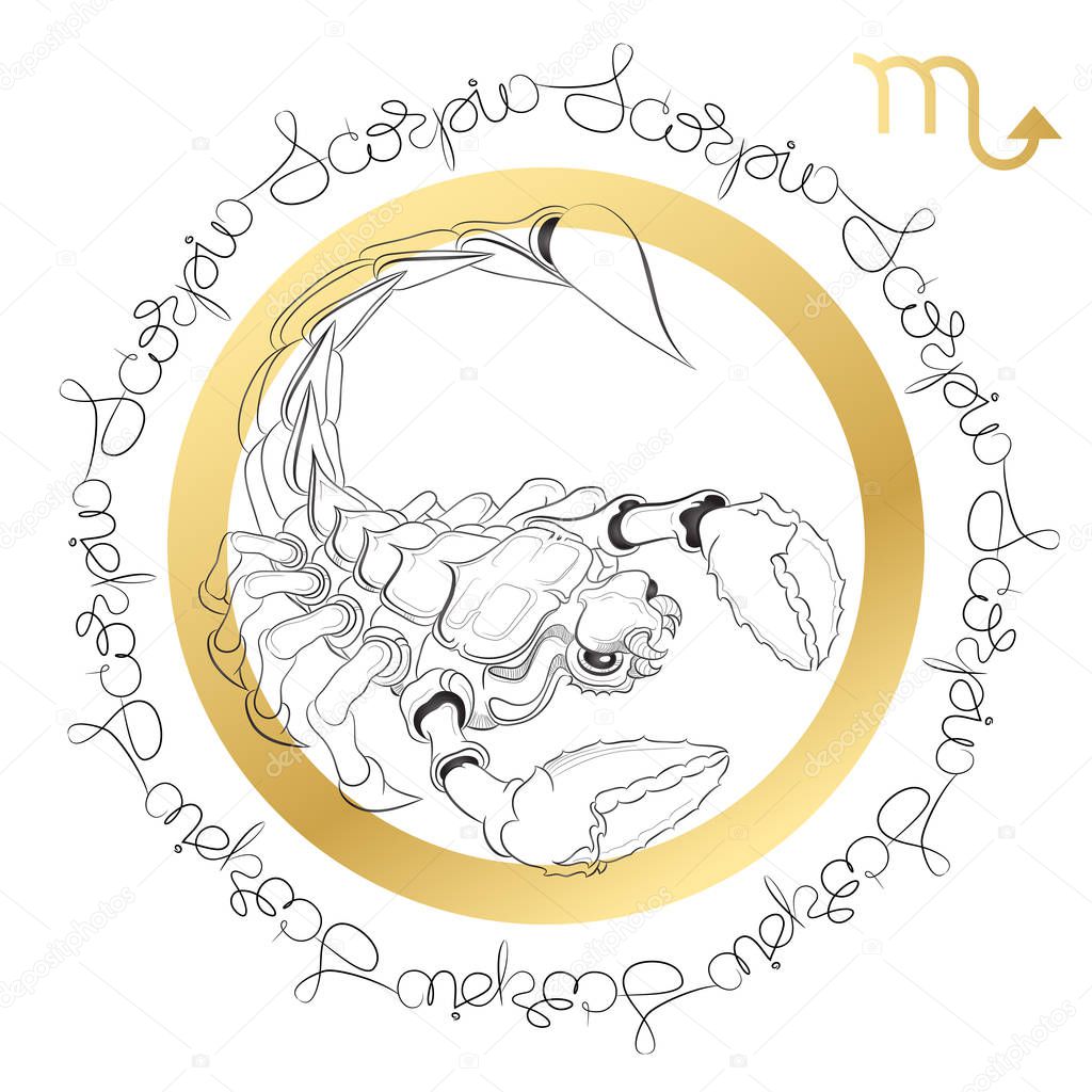 Zodiac sign Scorpio. Horoscope card in zentangle style.