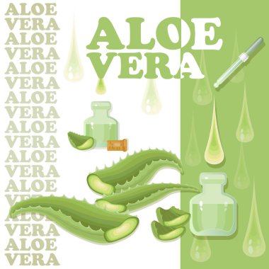 Aloe Vera bırakır, dilimleri pipet ile ve damla.