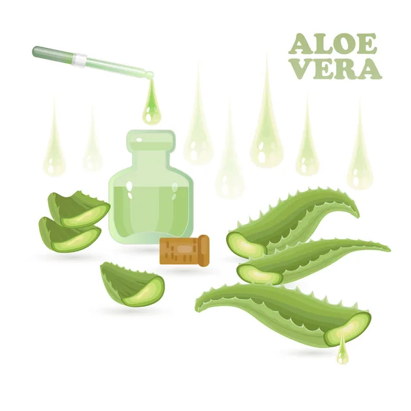 Folhas de Aloe Vera, frasco para injetáveis, pipeta e gotas . — Vetor de Stock