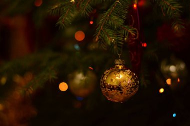 Ağaçta noel balosu