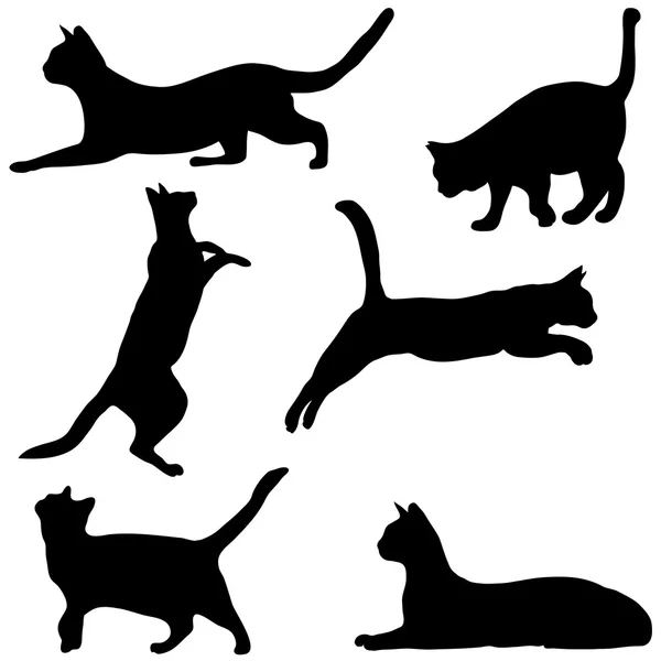 Cats collection - vector silhouette — Stock Vector