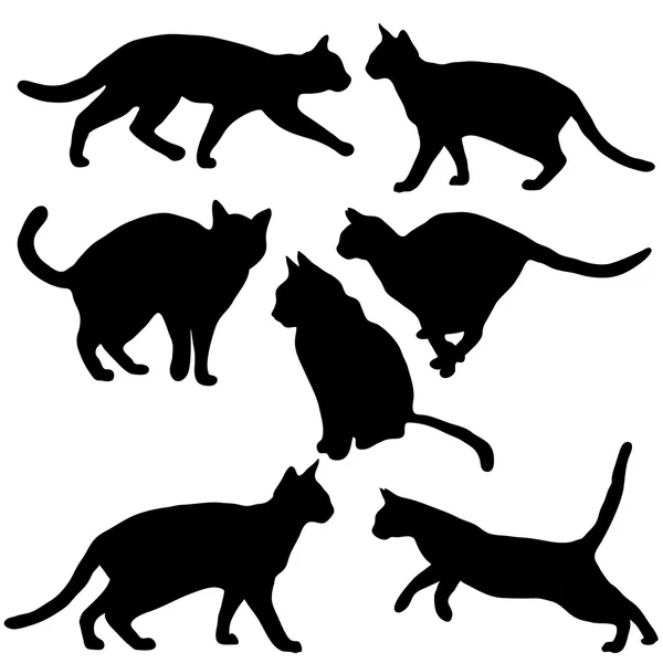 Colección de gatos - silueta vectorial — Vector de stock